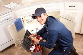 Best Plumbing System Maintenance  in Timberlane, IL